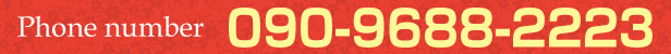 Phone number:  090-9688-2223