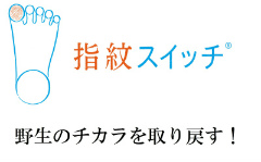 健太郎オススメの逸品達